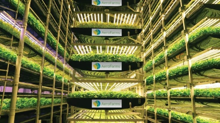 Inside AeroFarms