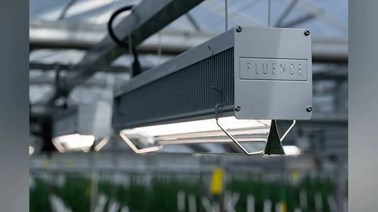 Fluence LED lighting