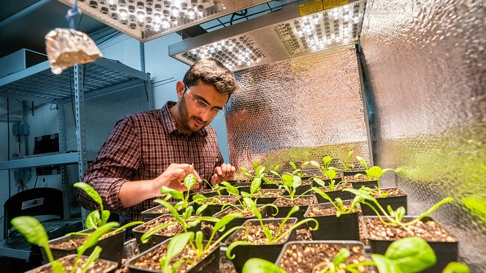  Azlan Zahid, Ph.D., AgriLife Research assistant professor of controlled environment agriculture engineering