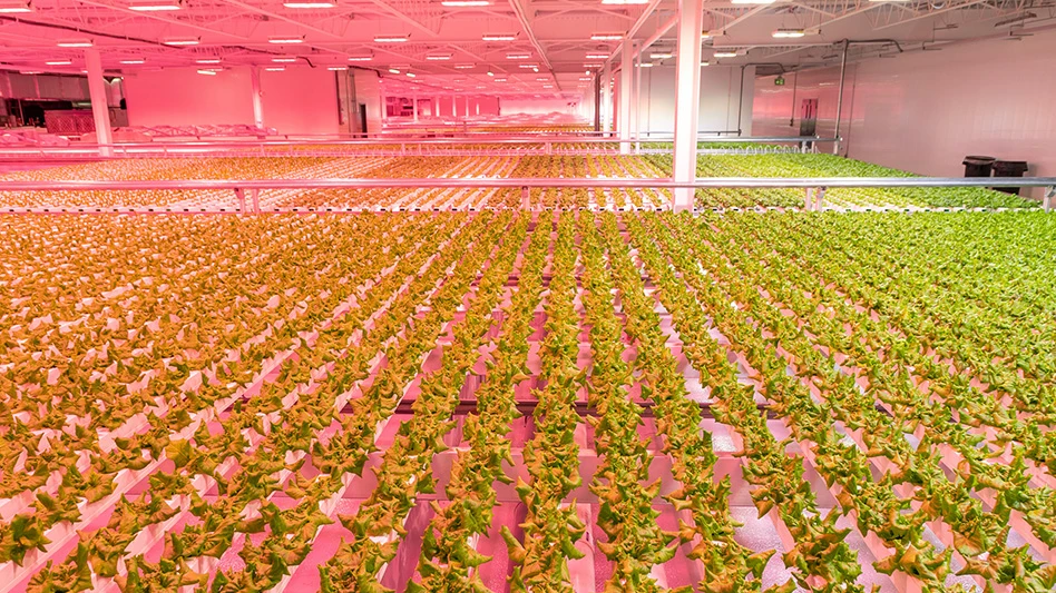 Inside Lufa Farms' indoor facility