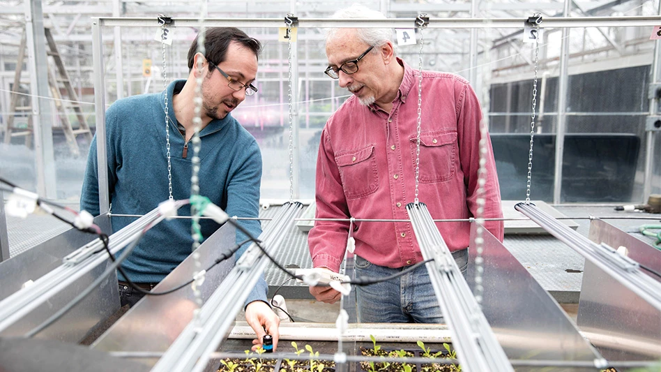 Two men look at green seedlings in a greenhouse.