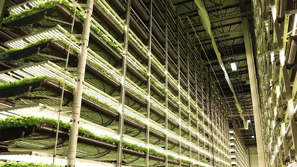 AeroFarms Files For Chapter 11 Bankruptcy - Produce Grower