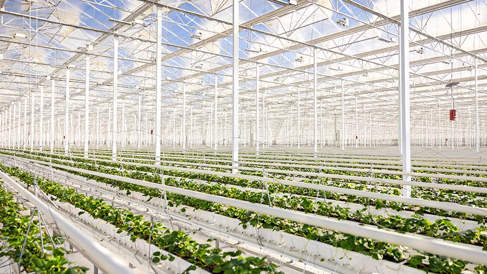 Gotham Greens opens New England greenhouse - Produce Processing