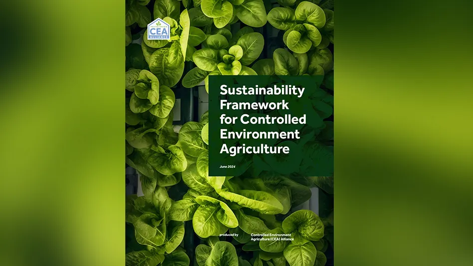 A report cover reads Sustainability Framework for Controlled Environment Agriculture June 2024 produced by Controlled Environment Agriculture (CEA) Alliance. The background of the cover is a photo of leafy greens.