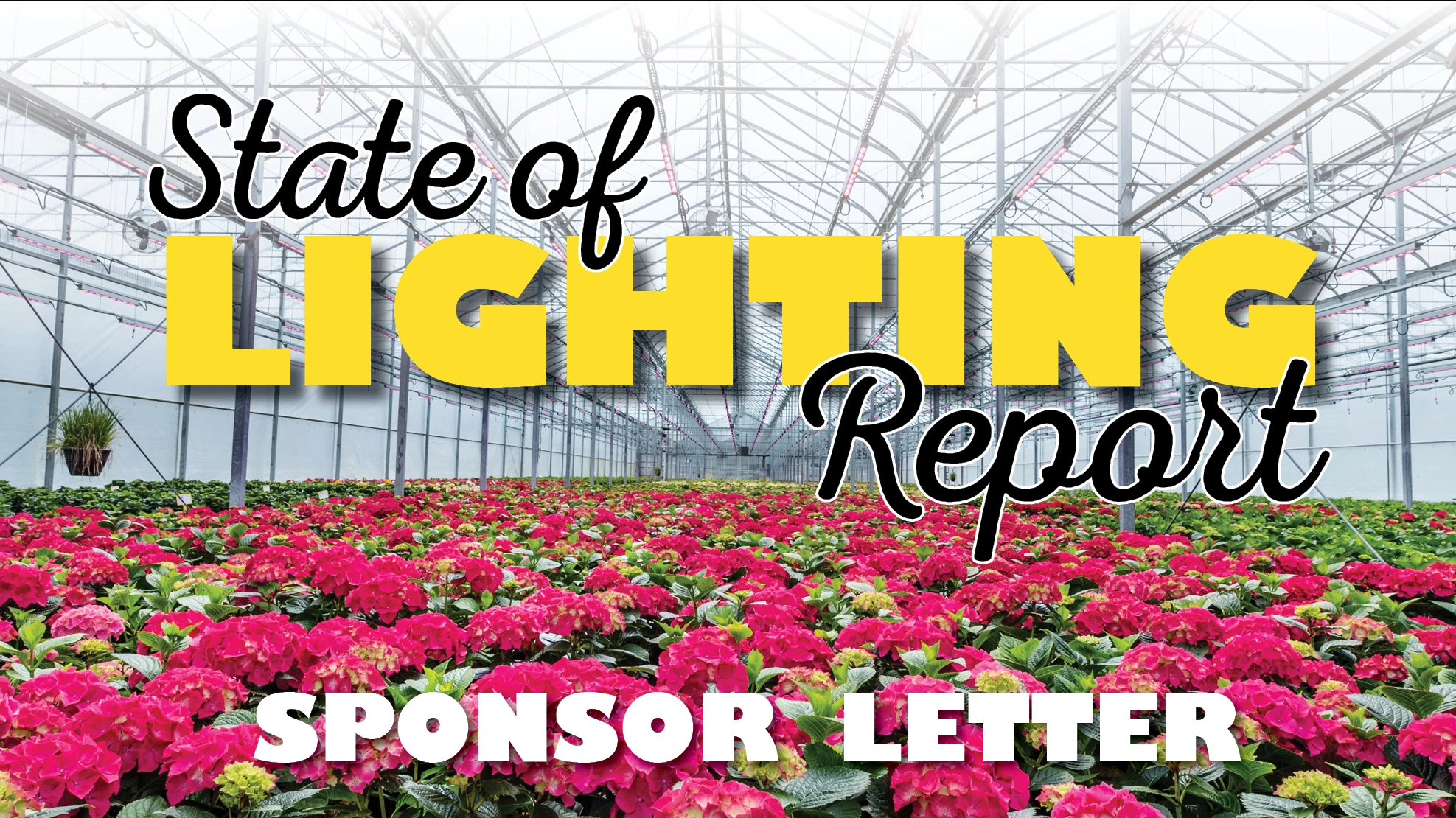 A graphic reads State of Lighting Report Sponsor Letter. In the background is a photo of a greenhouse with hot pink flowers.