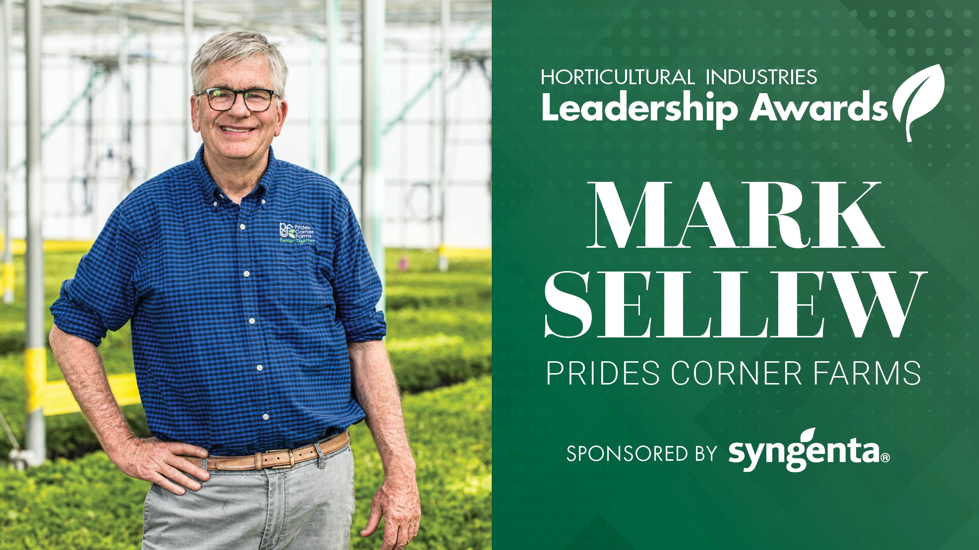 A graphic with a green background and white letters reads Horticultural Industries Leadership Awards Mark Sellew Prides Corner Farms Sponsored by Syngenta. To the left is a photo of a smiling man with short gray hair and black glasses wearing a blue and black plaid button-up long-sleeve shirt with the sleeves rolled up, gray jeans and a brown belt. He stands in a greenhouse with green plants visible behind him.