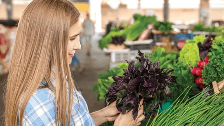 Purple basil 101 Produce Grower